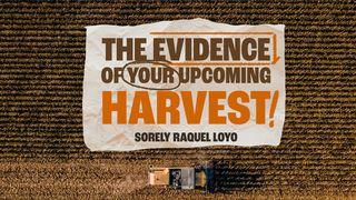 The Evidence of Your Upcoming Harvest! Joshua 3:15-16 New International Version