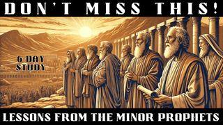 Don't Miss This! Lessons From the Minor Prophets Joel 2:12-29 New Living Translation