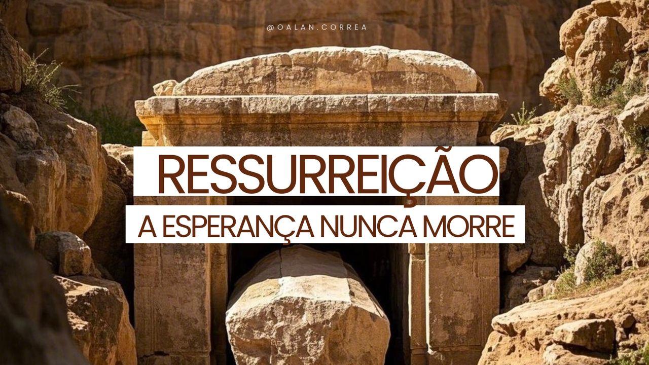 Ressurreição: A Esperança Nunca Morre