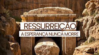 Ressurreição: A Esperança Nunca Morre