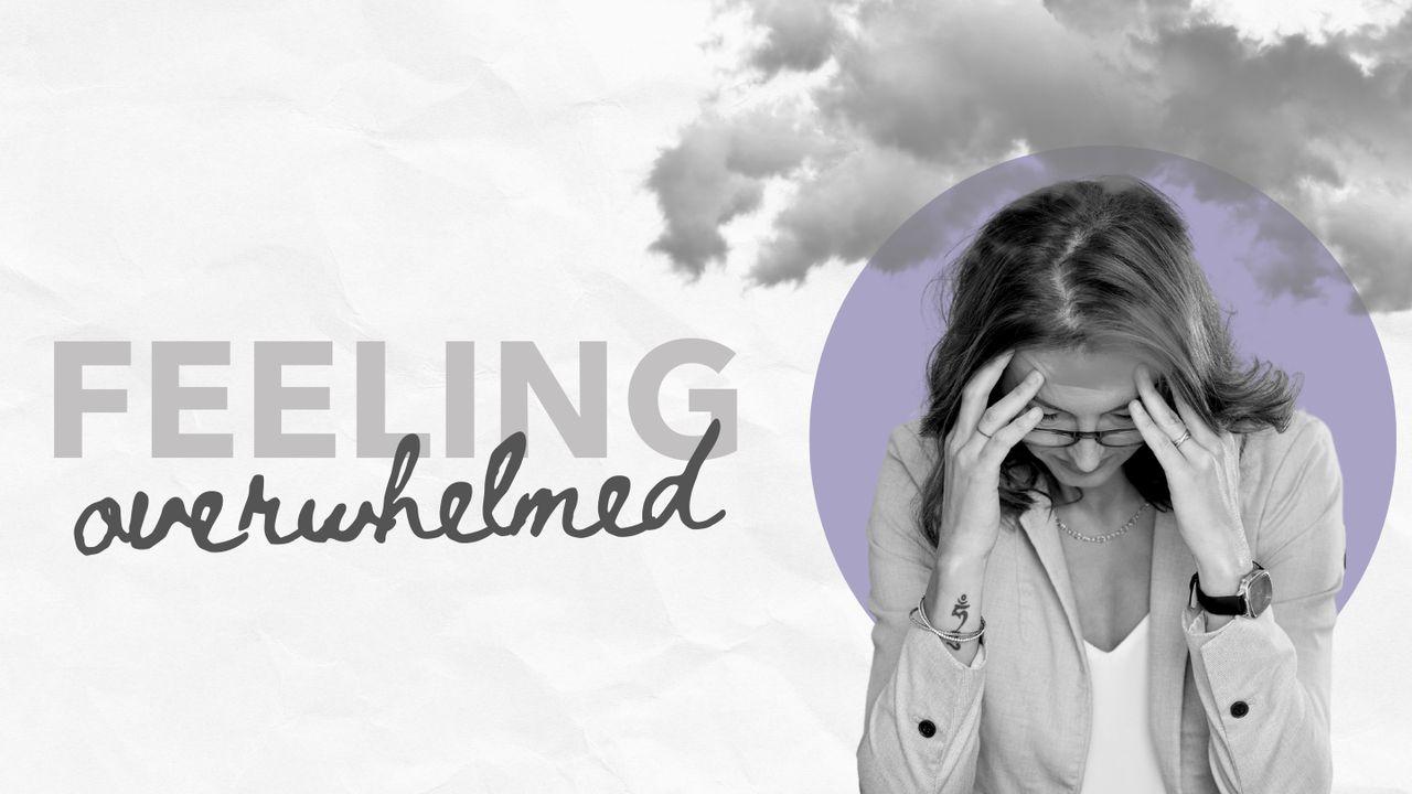 Feeling Overwhelmed in Widowhood
