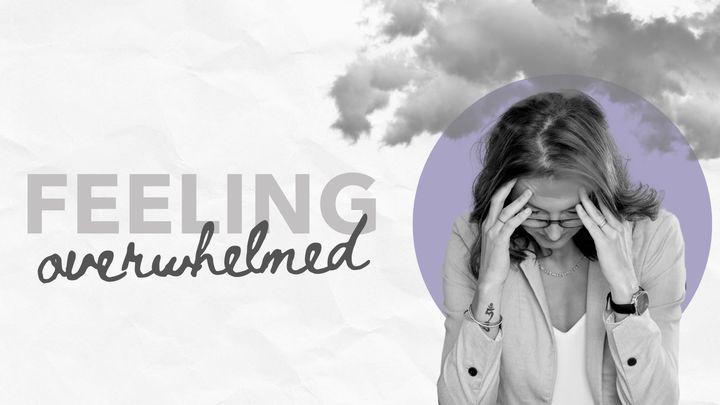 Feeling Overwhelmed in Widowhood