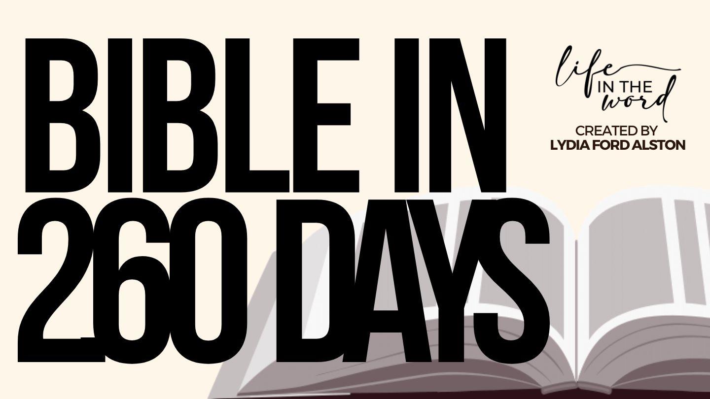 Bible in 260 Days