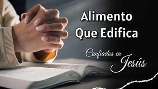 Alimento Que Edifica