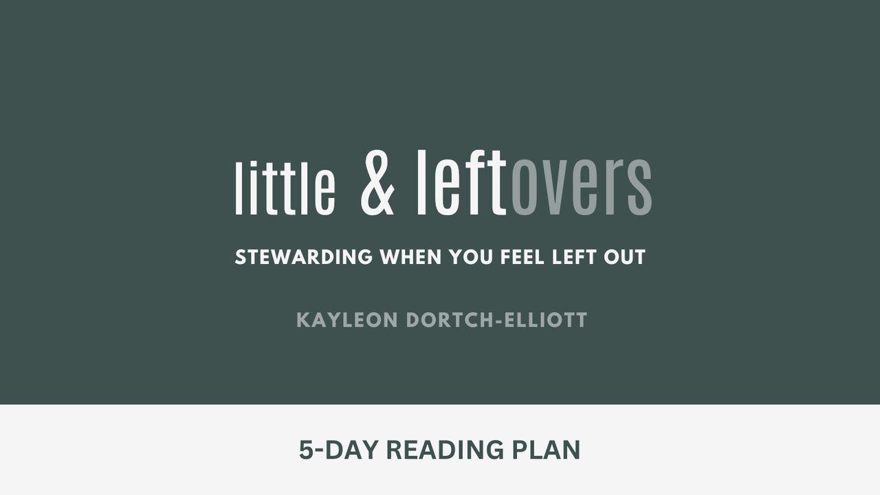 Little & Leftovers: Stewarding When You Feel Left Out