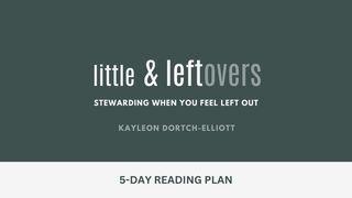 Little & Leftovers: Stewarding When You Feel Left Out