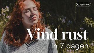 Vind rust in 7 dagen