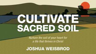 Cultivate Sacred Soil