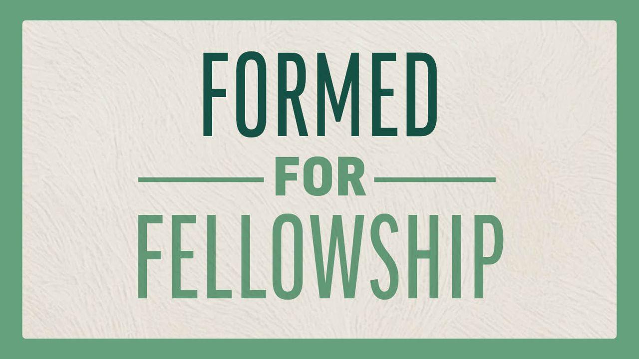 Formed for Fellowship