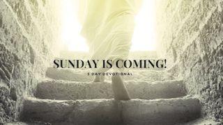 Sunday Is Coming ម៉ាថាយ 26:41 ព្រះគម្ពីរភាសាខ្មែរបច្ចុប្បន្ន ២០០៥