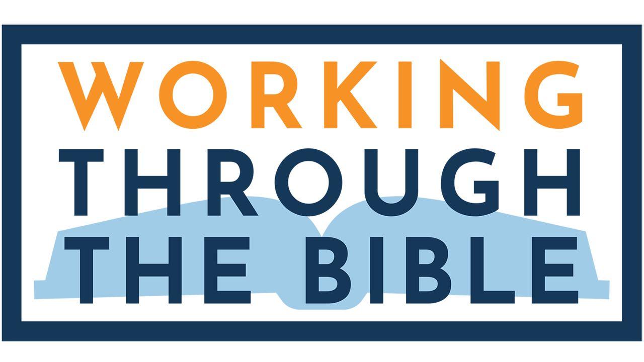Working Through the Bible