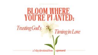 Bloom Where You're Planted: Trusting God's Timing in Love