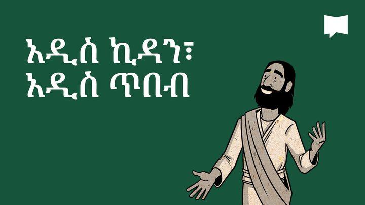 BibleProject | አዲስ ኪዳን፣ አዲስ ጥበብ