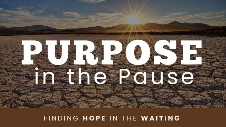 Purpose in the Pause: Finding Hope in the Waiting
