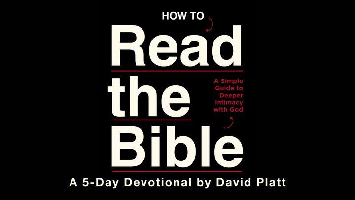 How to Read the Bible 