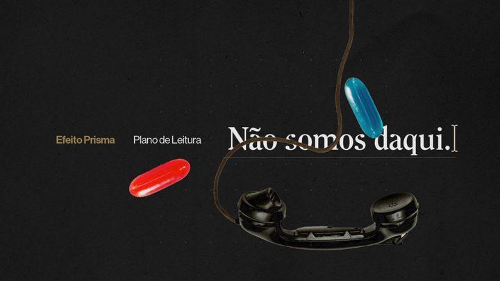 Não somos daqui