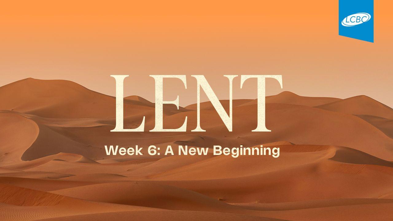 Lent | Week 6: A New Beginning