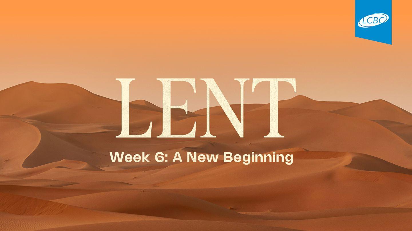 Lent | Week 6: A New Beginning