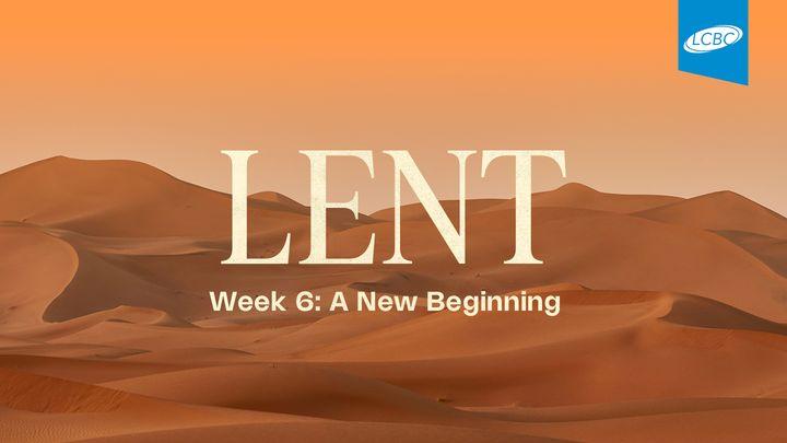 Lent | Week 6: A New Beginning
