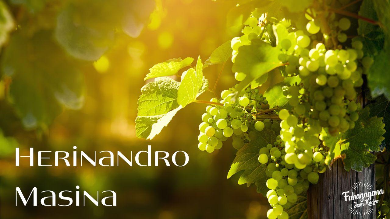 Herinandro Masina - Fandinihan-Tena