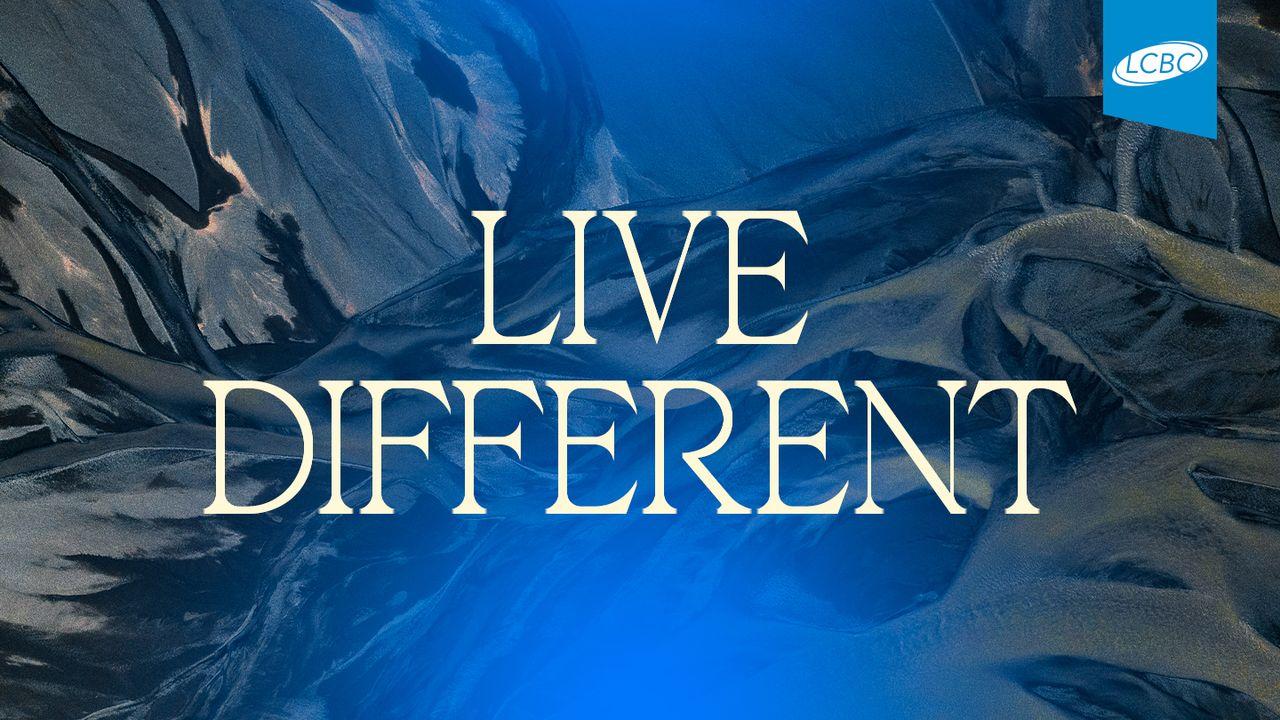 Live Different: The Values That Set Us Apart