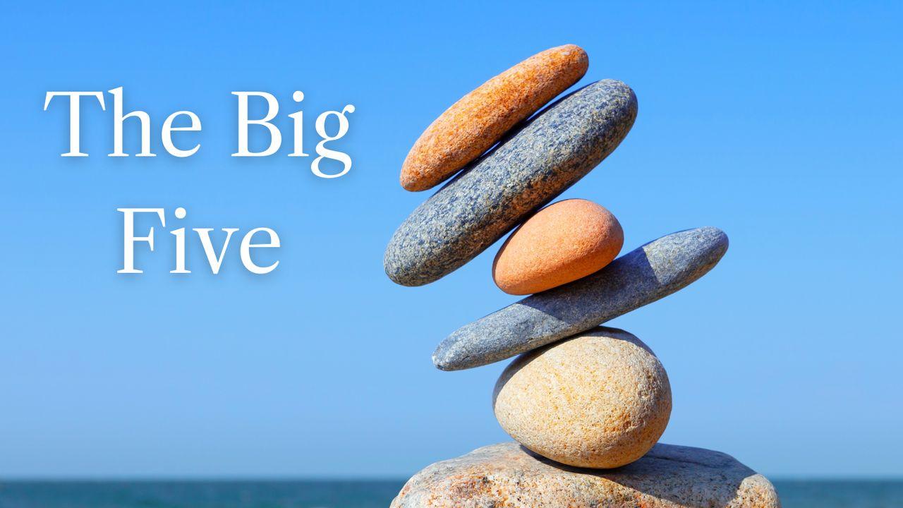 Chasing False Needs Versus Resting in Reality