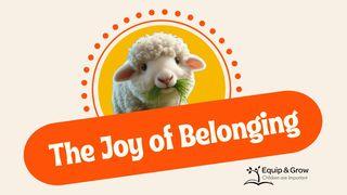 The Joy of Belonging
