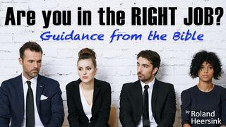 Am I in the Right Job? …Guidance From the Bible