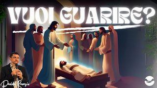 Vuoi Guarire?