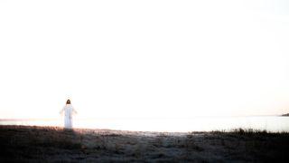 The Miracles of Jesus