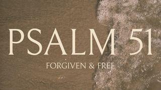 Psalm 51: Forgiven & Free
