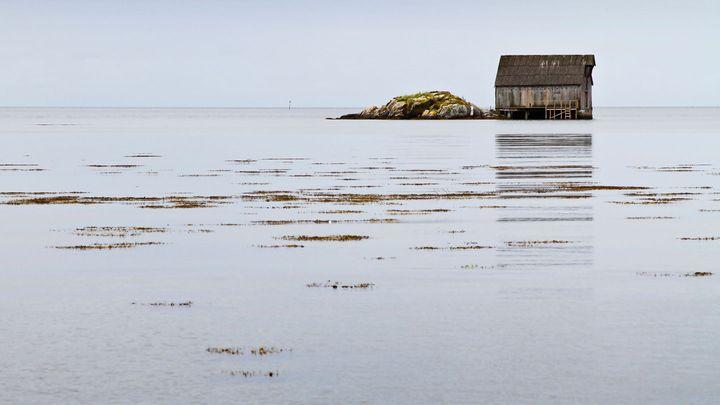 7 Attitudes pour tenir ferme dans l'adversité