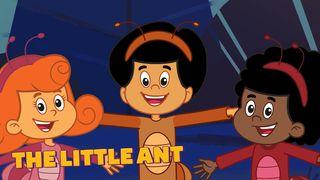 The Little Ant