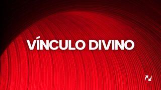 Vínculo Divino