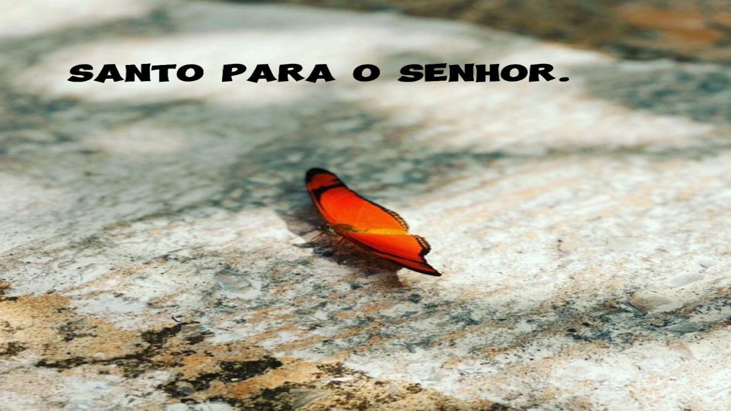 Santo Para O Senhor. Colossenses 3:10-11 Nova Versão Internacional - Português