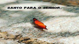 Santo Para O Senhor.