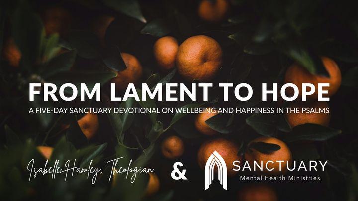 From Lament to Hope: Wellbeing and Happiness in the Psalms