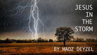 Jesus in the Storm