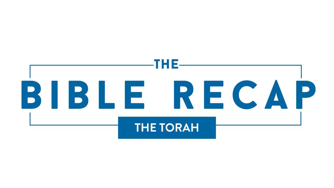 The Bible Recap - the Torah