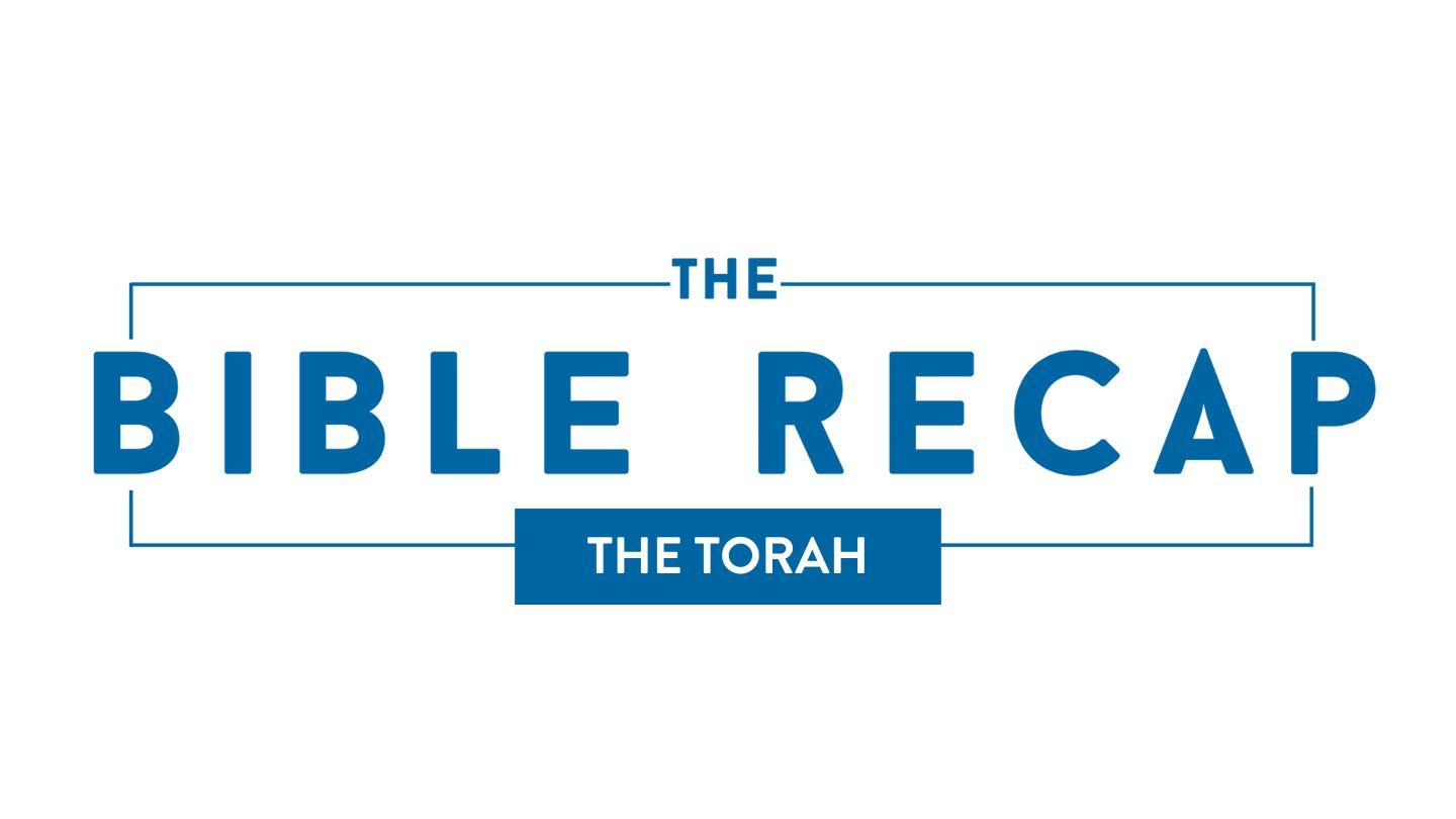 The Bible Recap - the Torah