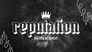 Reputation