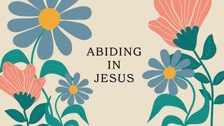 Love God Greatly - Abiding in Jesus: Bearing Fruit That Lasts