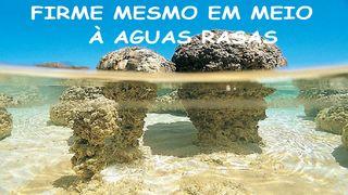 Firme, Mesmo em Águas Rasas