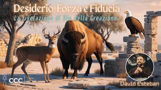 Desiderio, Forza e Fiducia