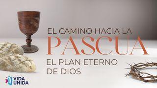 El Camino Hacia La Pascua