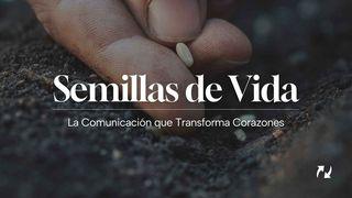 Semillas De Vida
