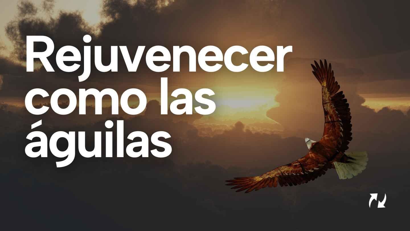Rejuvenecer Como Las Águilas