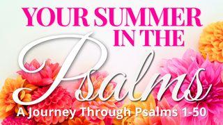 Your Summer in the Psalms: Chapters 1-50