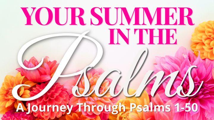 Your Summer in the Psalms: Chapters 1-50