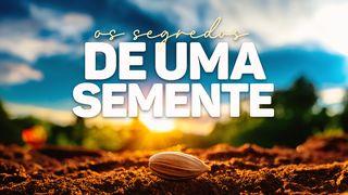 Os Segredos De Uma Semente